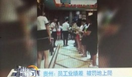 小李的爆料视频在哪看,一探究竟的独家视角