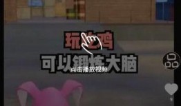 奔跑的阿雷爆料视频下载,揭秘幕后故事与精彩瞬间