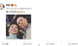 娱乐圈爆料回应方式,巧妙应对，维护形象