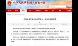 广西有名新闻爆料平台叫什么,传递民意，守护正义