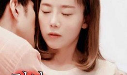 伦理合集在线观看