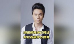 爆料周迅陈坤视频大全,揭秘两人幕后故事与情感纠葛