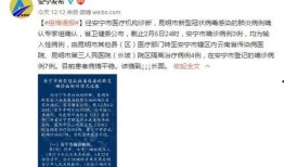 识时务者陈亚楠最新爆料