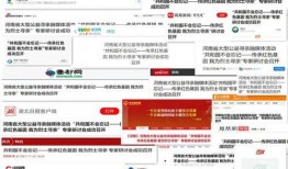 央媒爆料视频会员,视频会员背后的真相与数据揭示