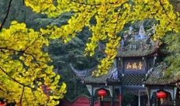 青城山老易养爆料最新,揭秘养生秘境与隐世传奇