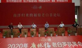 福鼎新闻爆料平台电话,揭秘一线新闻背后的故事