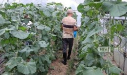 吃瓜杭州网红视频,揭秘城市生活趣味瞬间