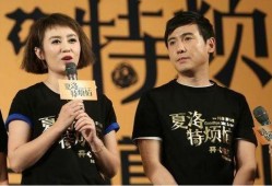 娱乐圈爆料沈腾马丽视频,娱乐圈友情引热议