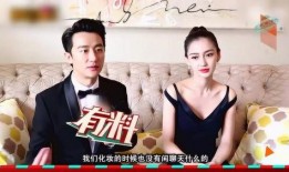 导演亲自爆料视频大全集,揭秘视频大全集背后的精彩故事