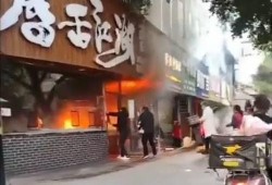网友爆料餐厅视频播放下载,揭秘餐厅娱乐秘密