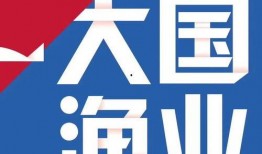 网易最新消息爆料新闻,最新热点事件深度解析