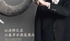 大象新闻爆料热线官网,揭秘新闻线索直通车