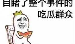 娱乐吃瓜扎心文案,揭秘明星背后的辛酸与真相