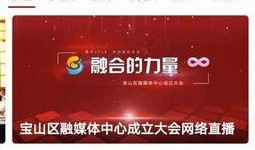 央媒爆料视频会员,视频会员背后的真相与数据揭示