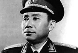 刘震最新爆料视频播放,事件真相再引热议
