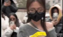 娱乐搬料吃瓜完整版