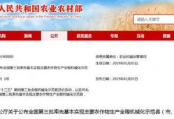 辛集新闻头条爆料群号,揭秘最新资讯动态